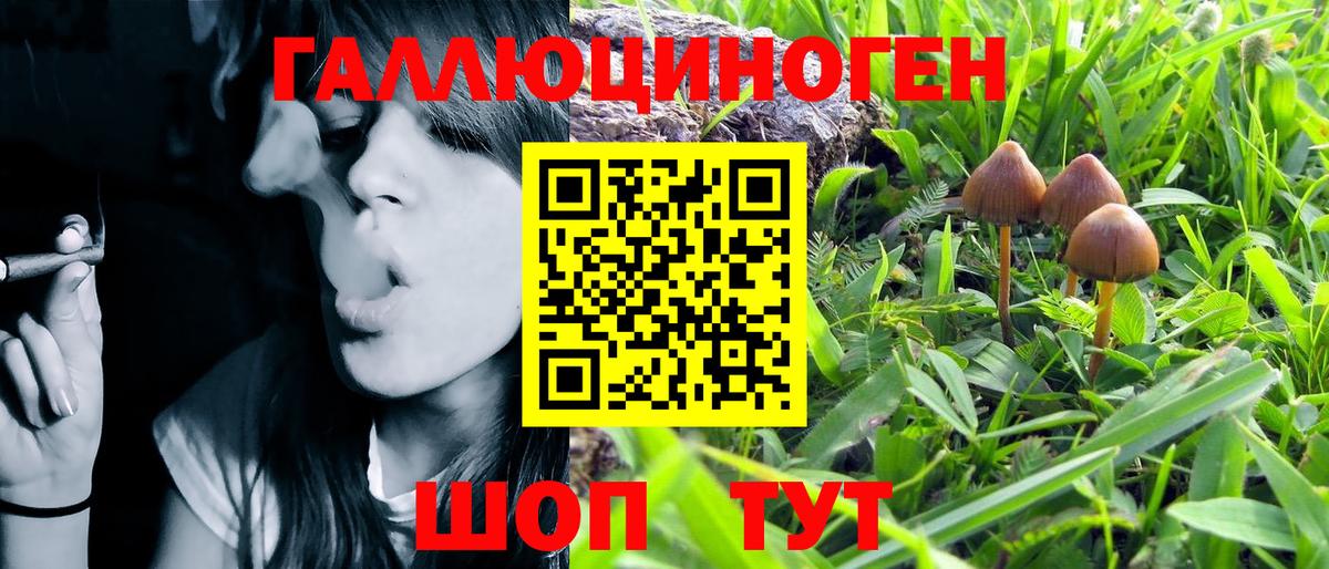 Галлюциногенные грибы Magic Shrooms Мирный