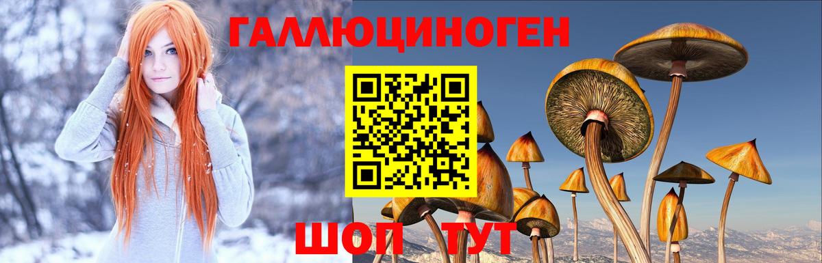 Галлюциногенные грибы мухоморы  Вход с VPN  Мирный 