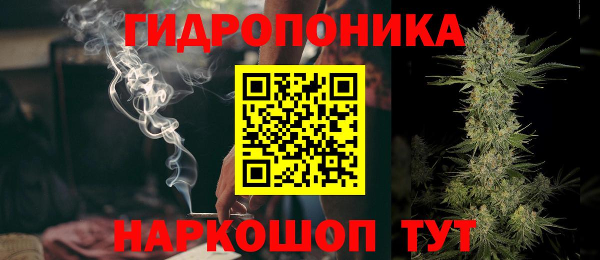 Конопля LSD WEED Мирный